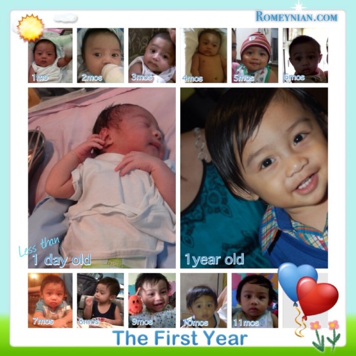 The First Year