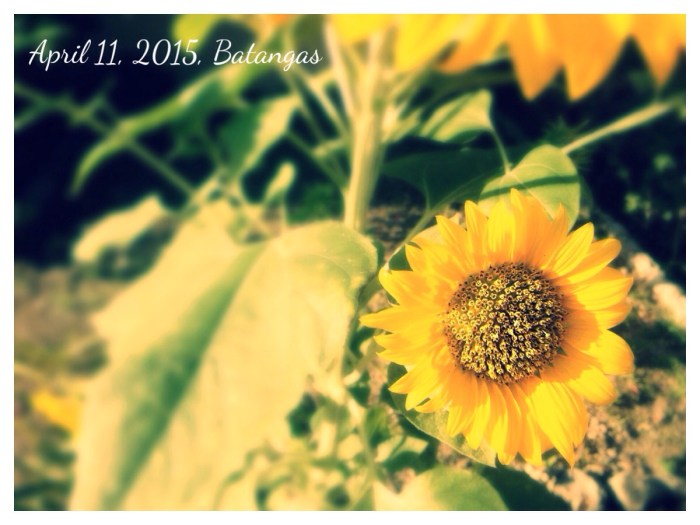 Peace be with you...